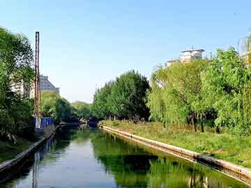 爱上海：Hidden Paradise Stroll： Explore the endless surprises hidden in Shanghai's backyard!